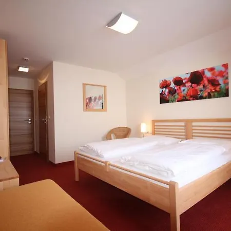 ホテル Schmittenhohe 3*